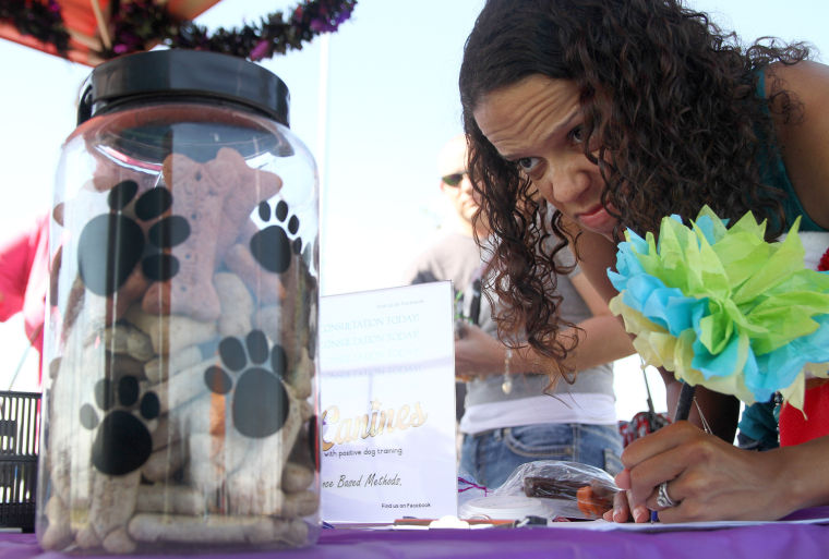 Barktoberfest 2013